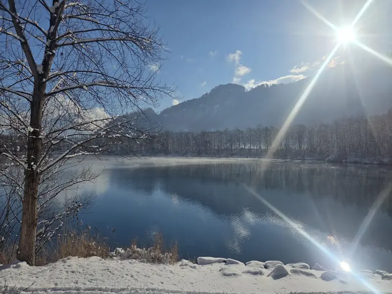 Fischweiher im Winter